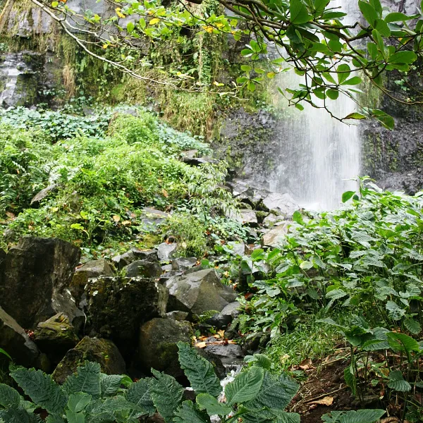 Anse des Cascades, Sainte-Rose