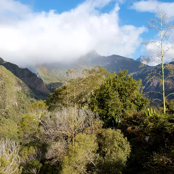Îlet du cirque de Mafate