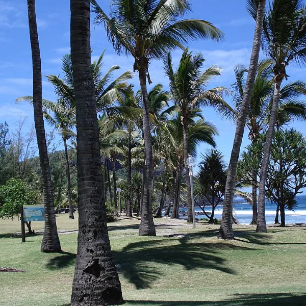 Plage de Grande Anse, La Réunion